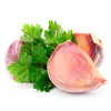 Garlic and Parsley, Life Care®